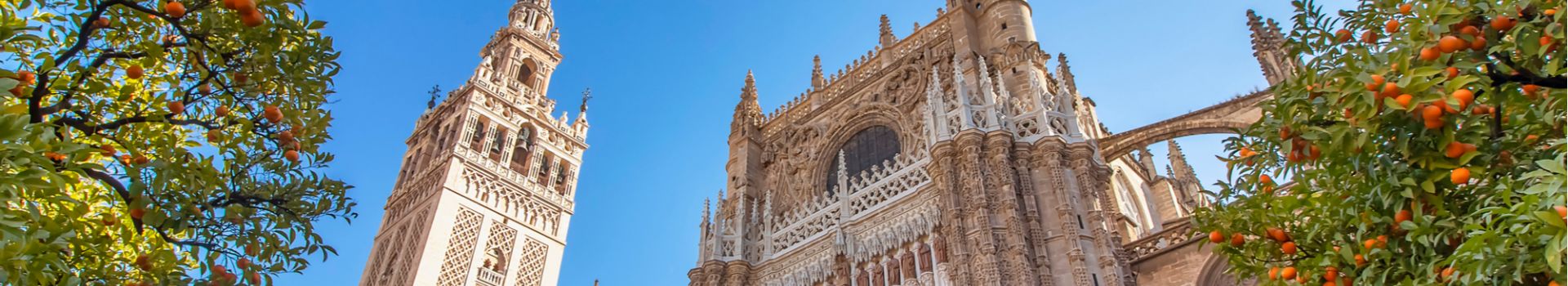 City Guide to Seville - Cassidy Travel Blog