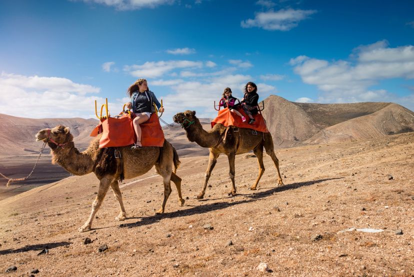 Top Things to do in Lanzarote for Families