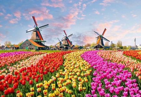Holidays to the Netherlands with Cassidy Travel