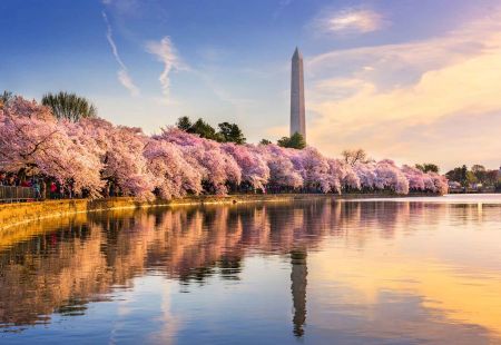 American Holidays to Washington with Cassidy Travel