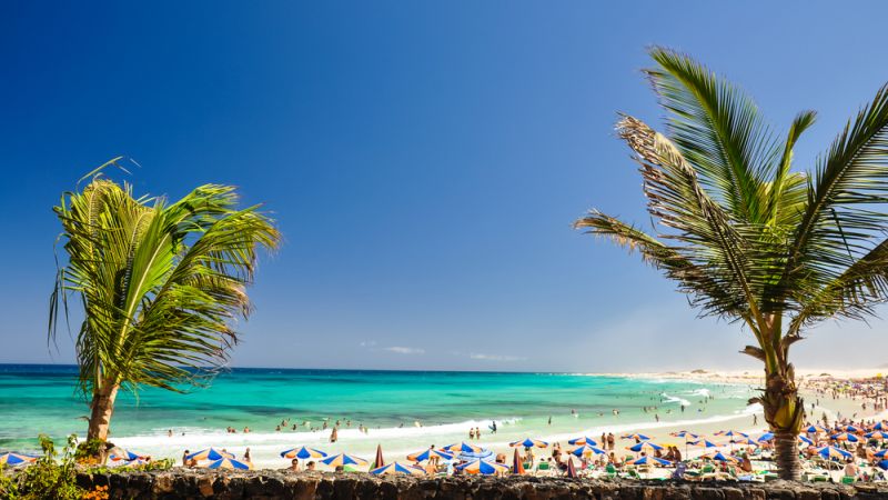 FUERTEVENTURA Offer