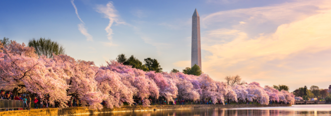 Things to do in Washington